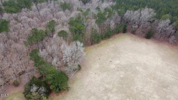 a view of a dry yard with green space