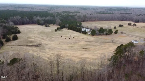 a view of a dry yard with green space