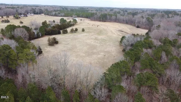 a view of a dry yard with green space