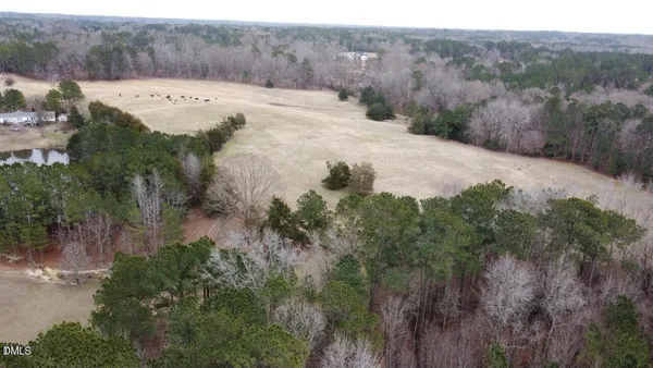 a view of a lush green space