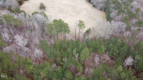 a view of a dry yard with plants and large trees