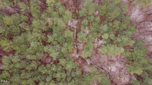 a view of a backyard of a house
