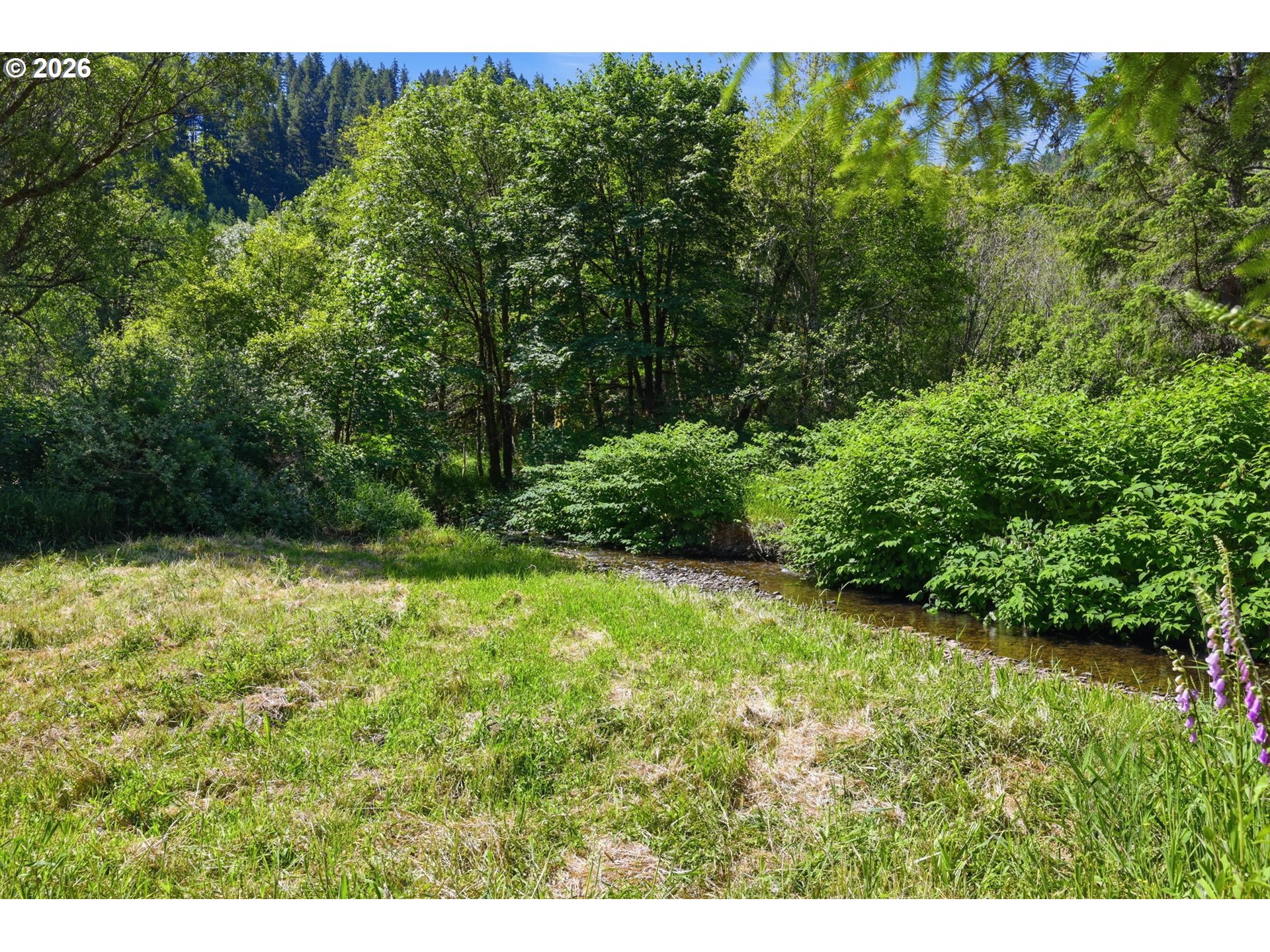 91984 Nelson Mountain Road Deadwood, OR 97430 - Photo 39 of 39