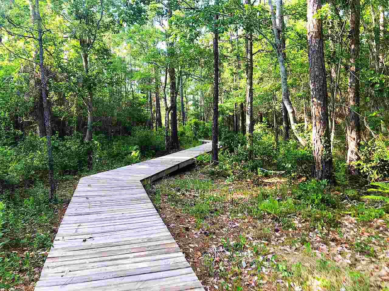 18607 Treasure Oaks Road Gulf Shores, AL 36542 - Photo 7 of 7