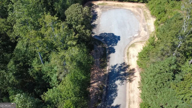 a view of a tree in a yard