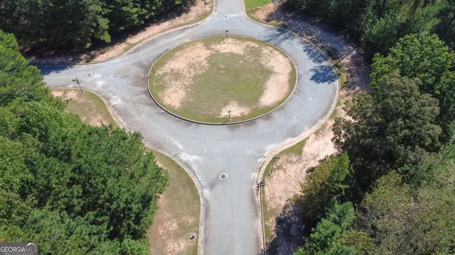 an aerial view of a swimming pool with a garden and plants