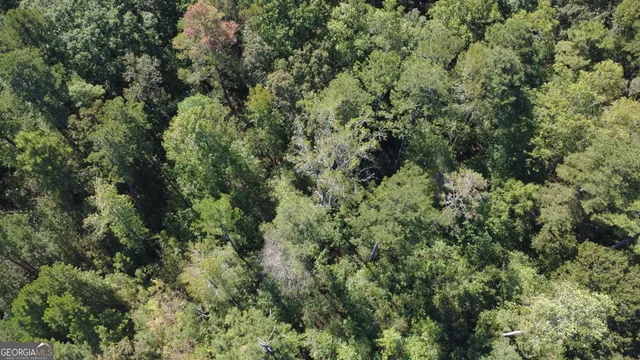 an aerial view of residential house with outdoor space and trees all around