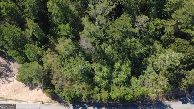 an aerial view of a forest with houses