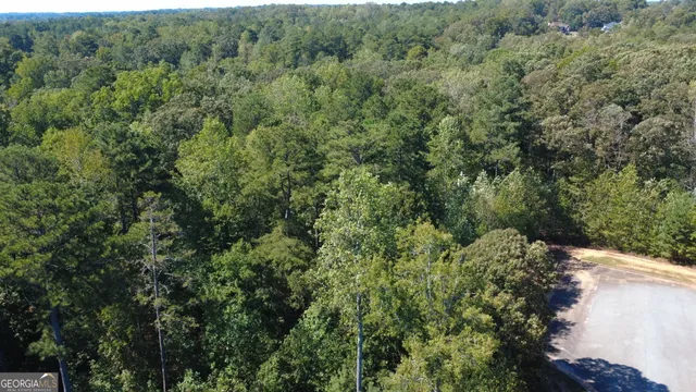 a view of a forest with a street