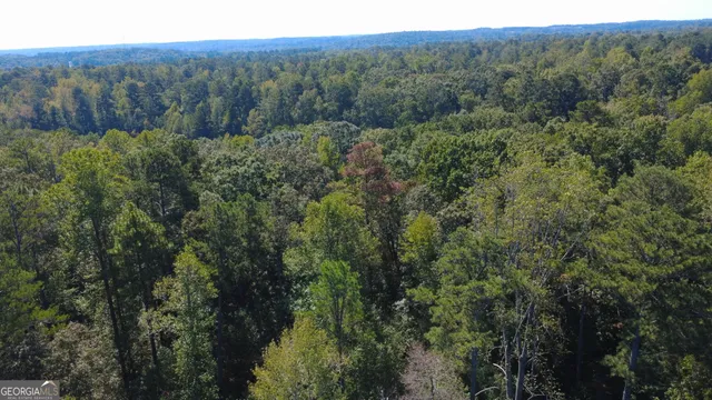 a view of a lush green forest with trees and some houses