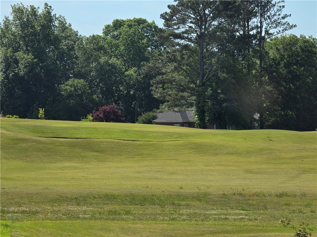 0 Turnberry Loop Seneca, SC 29678 - Photo 11 of 16