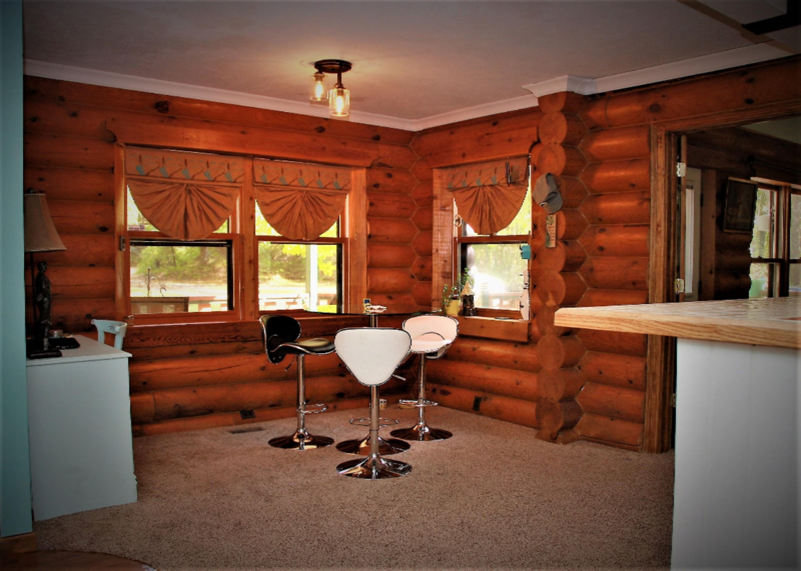 10963 Cascade Road Southeast Lowell, MI 49331 - Photo 10 of 27 IMG_6698F1