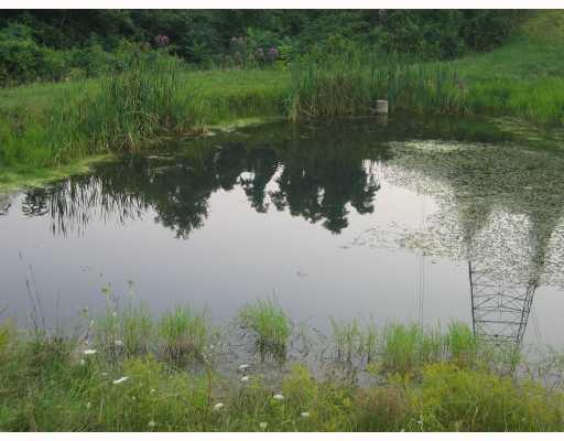 628 North Crabapple Road Perryopolis, PA 15473 - Photo 14 of 16 Land.