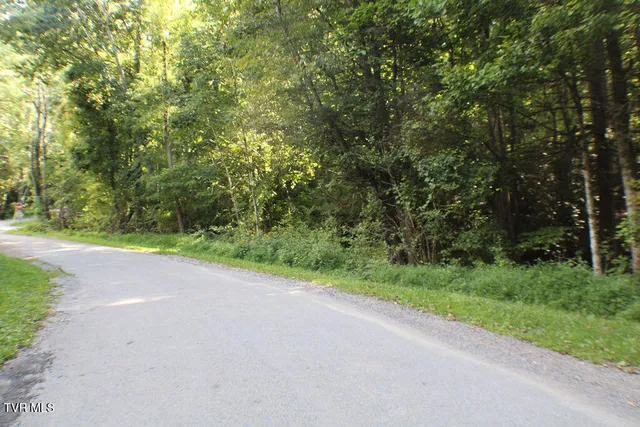 $20,000 | Tbd Deer Creek Crossing, Unit 27, Mountain City, TN 37683