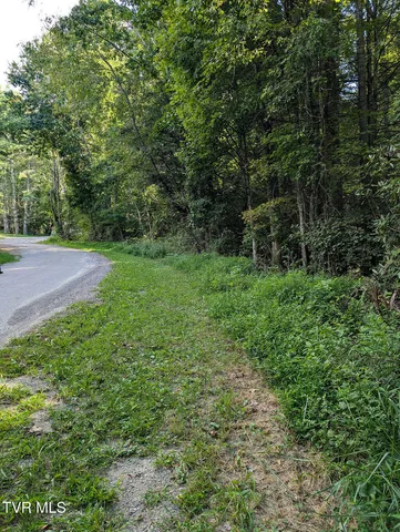 $20,000 | Tbd Deer Creek Crossing, Unit 27, Mountain City, TN 37683