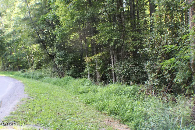 $20,000 | Tbd Deer Creek Crossing, Unit 27, Mountain City, TN 37683