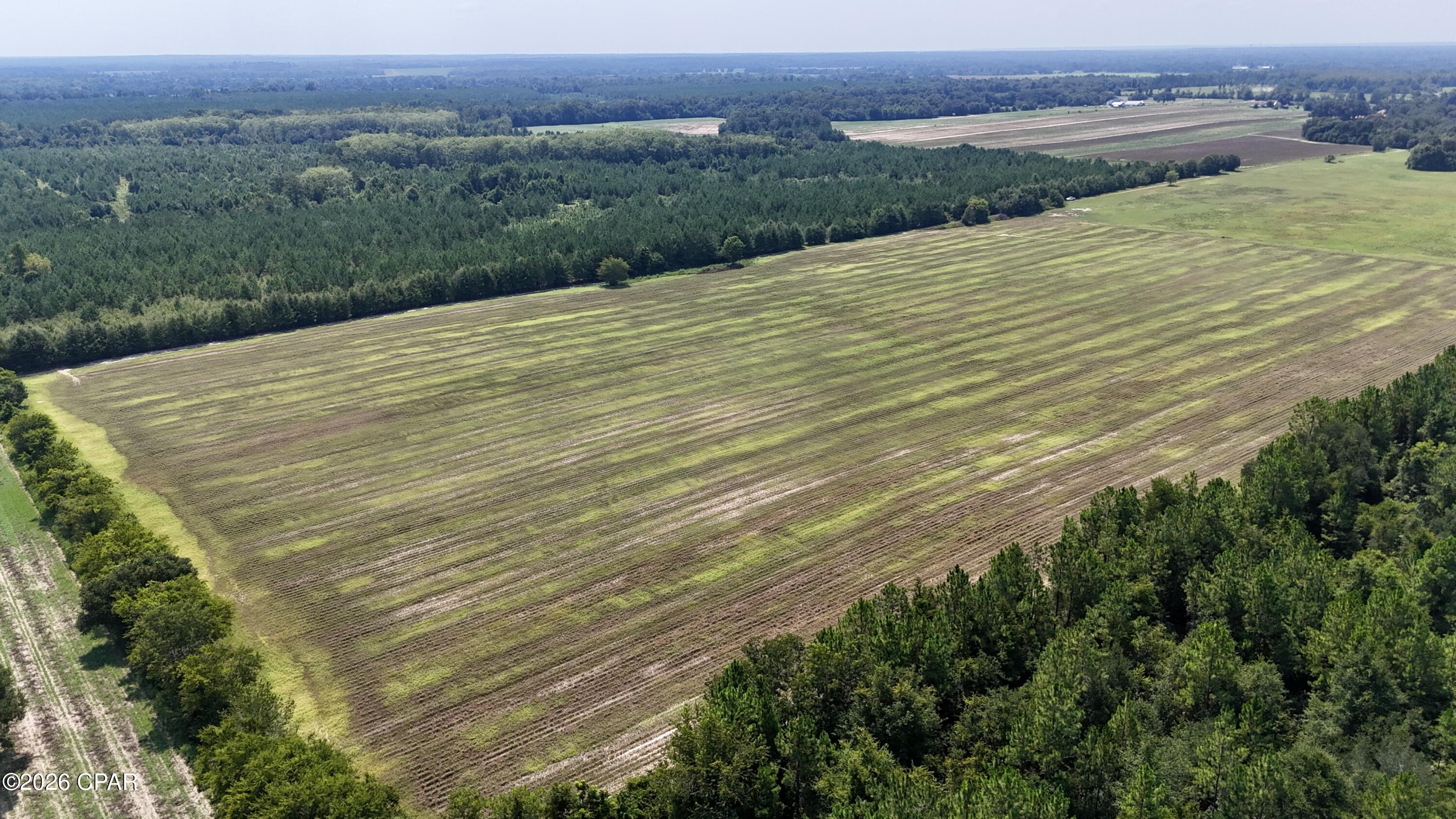 0 Peanut Road Cottondale, FL 32431 - Photo 1 of 9 Gallery Image 1