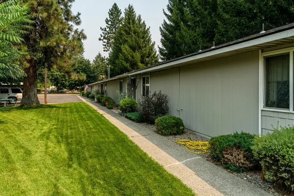 a view of a backyard with potted plants and large tree