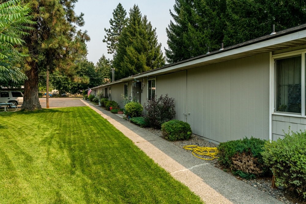 303 Harriet Street Priest River, ID 83856 - Photo 3 of 9 a view of a backyard with potted plants and large tree
