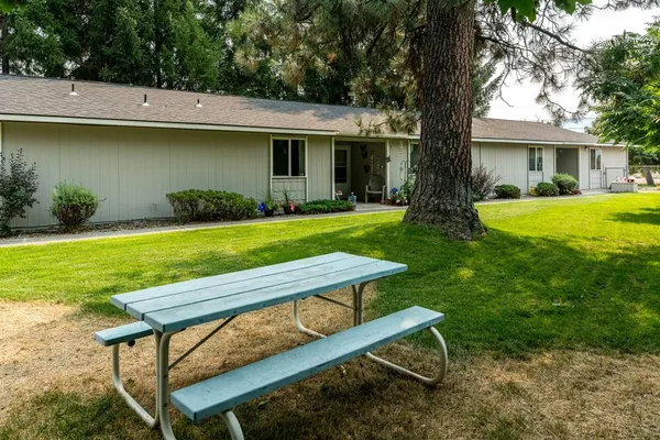 a view of a house with backyard and a tree