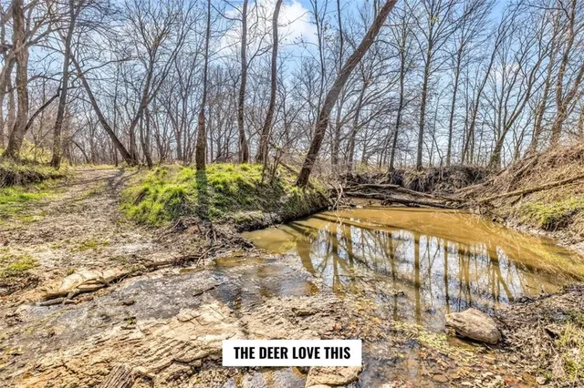 $830,000 | 14589 Northeast County Road 2763, Adrian, MO 64720