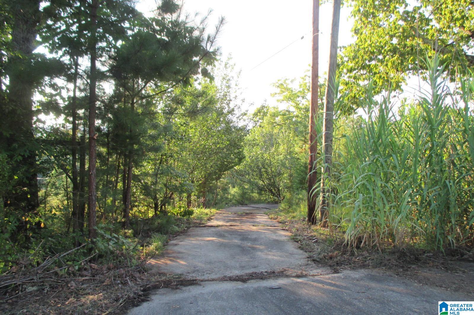 6151 Highway 27 Springville Al Springville, AL 35146 - Photo 14 of 27