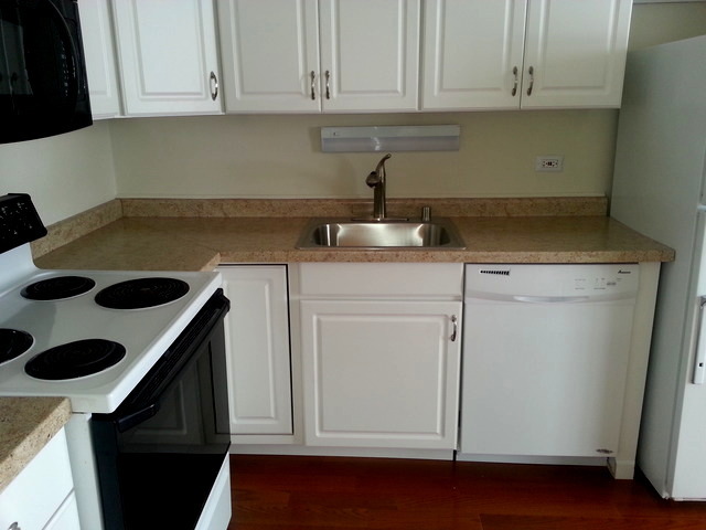 1700 East 56th Street, Unit 2909 Chicago, IL 60637 - Photo 8 of 14
