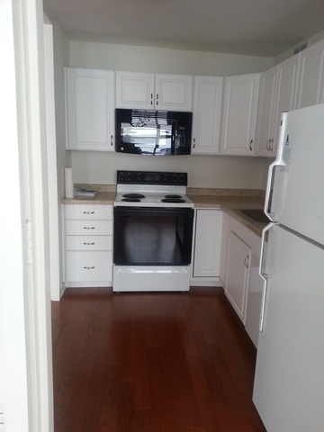 1700 East 56th Street, Unit 2909 Chicago, IL 60637 - Photo 9 of 14
