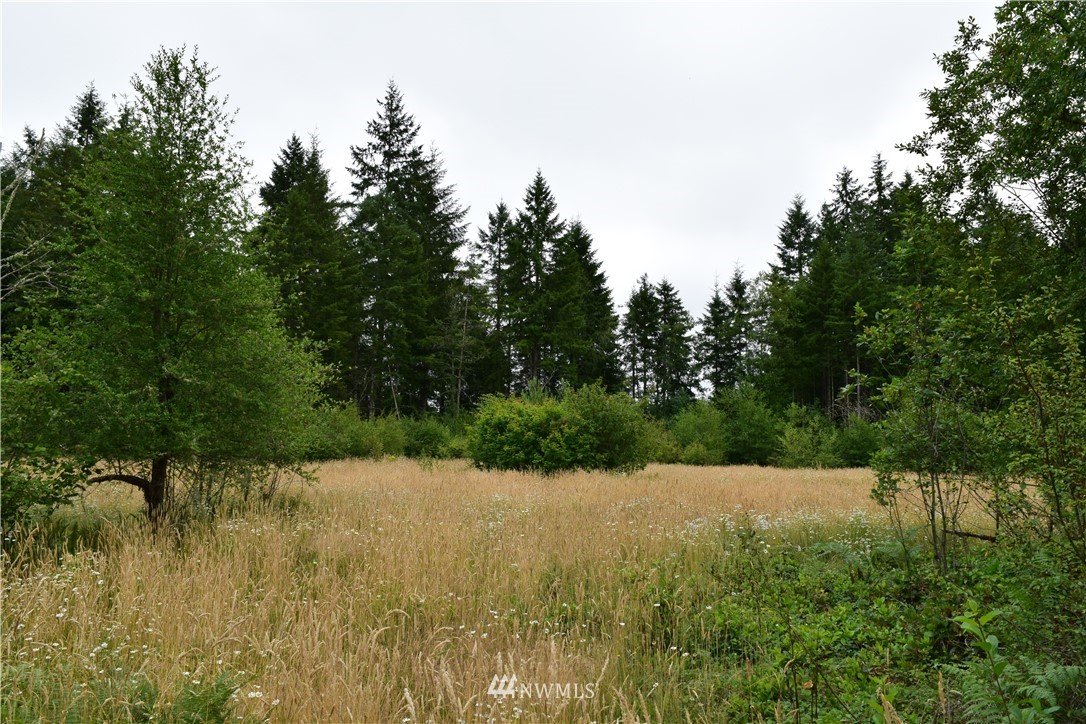 768 Logan Hill Road Chehalis, WA 98532 - Photo 11 of 35 a view of lake with green space