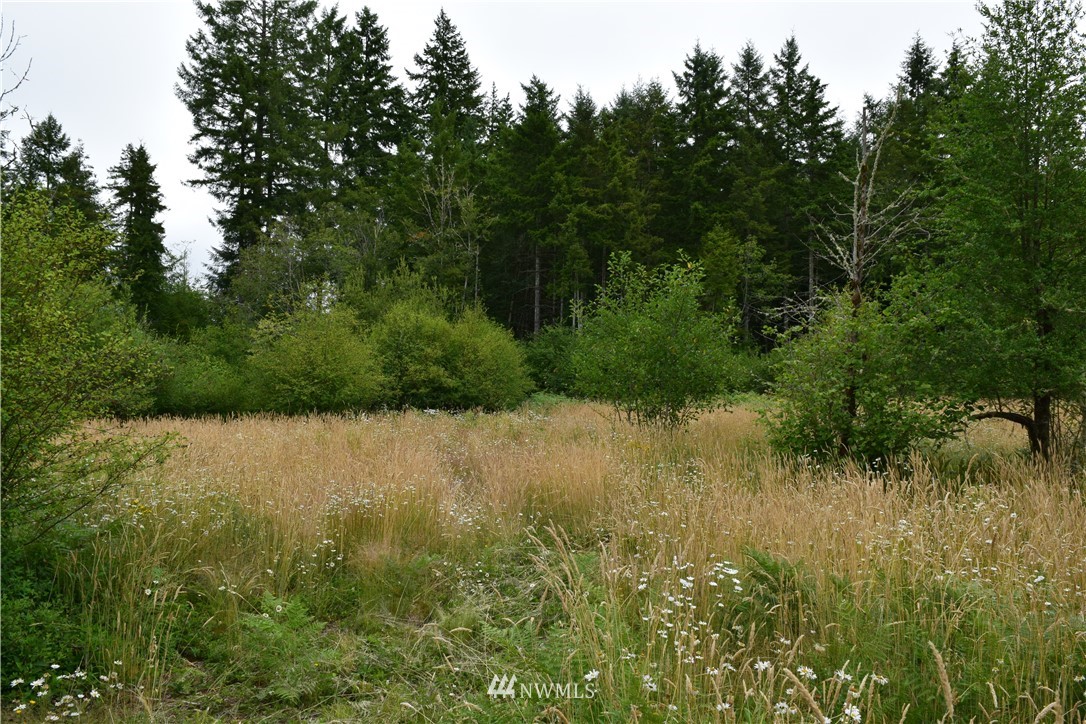768 Logan Hill Road Chehalis, WA 98532 - Photo 12 of 35 a view of a lake view with houses