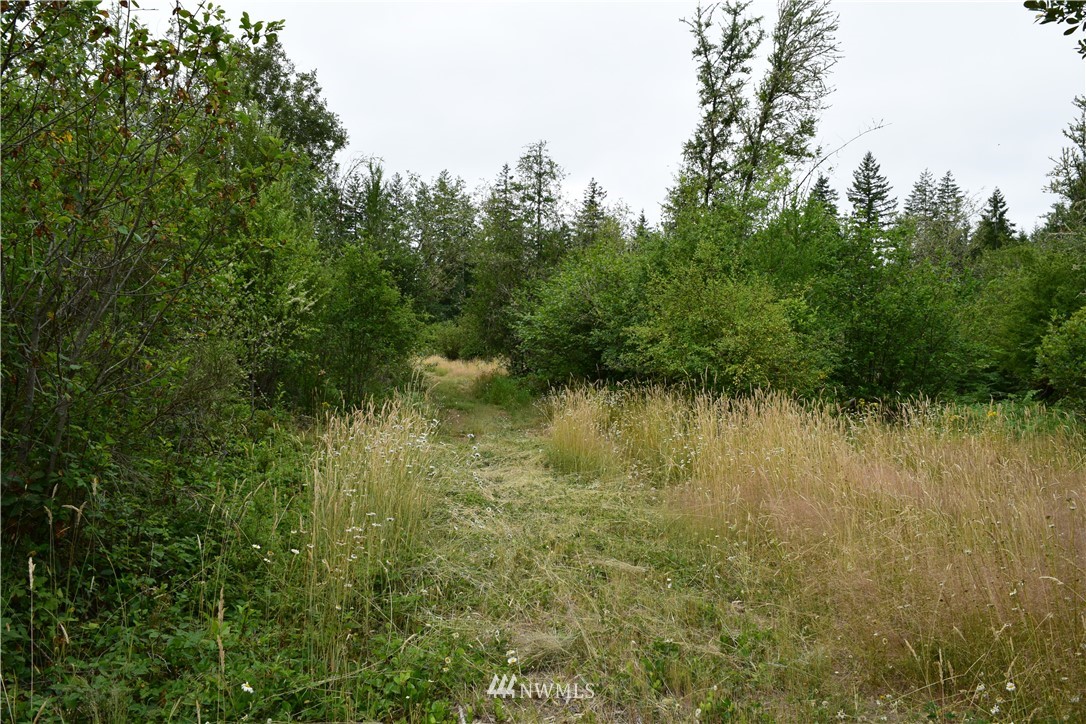 768 Logan Hill Road Chehalis, WA 98532 - Photo 13 of 35 a view of lake with green space