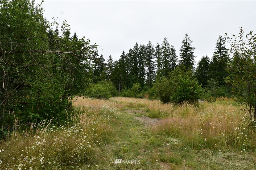 768 Logan Hill Road Chehalis, WA 98532 - Photo 15 of 35 a view of a lake view with houses in back