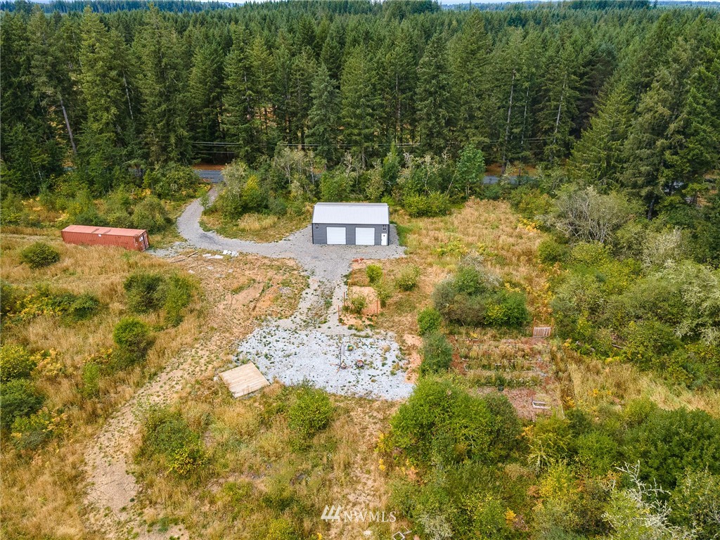 768 Logan Hill Road Chehalis, WA 98532 - Photo 3 of 35 a view of a yard with plants and large trees