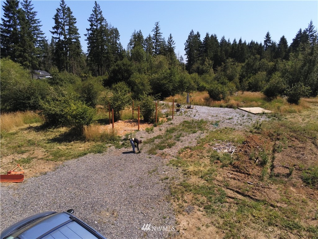 768 Logan Hill Road Chehalis, WA 98532 - Photo 21 of 35 a view of a fire pit with large trees