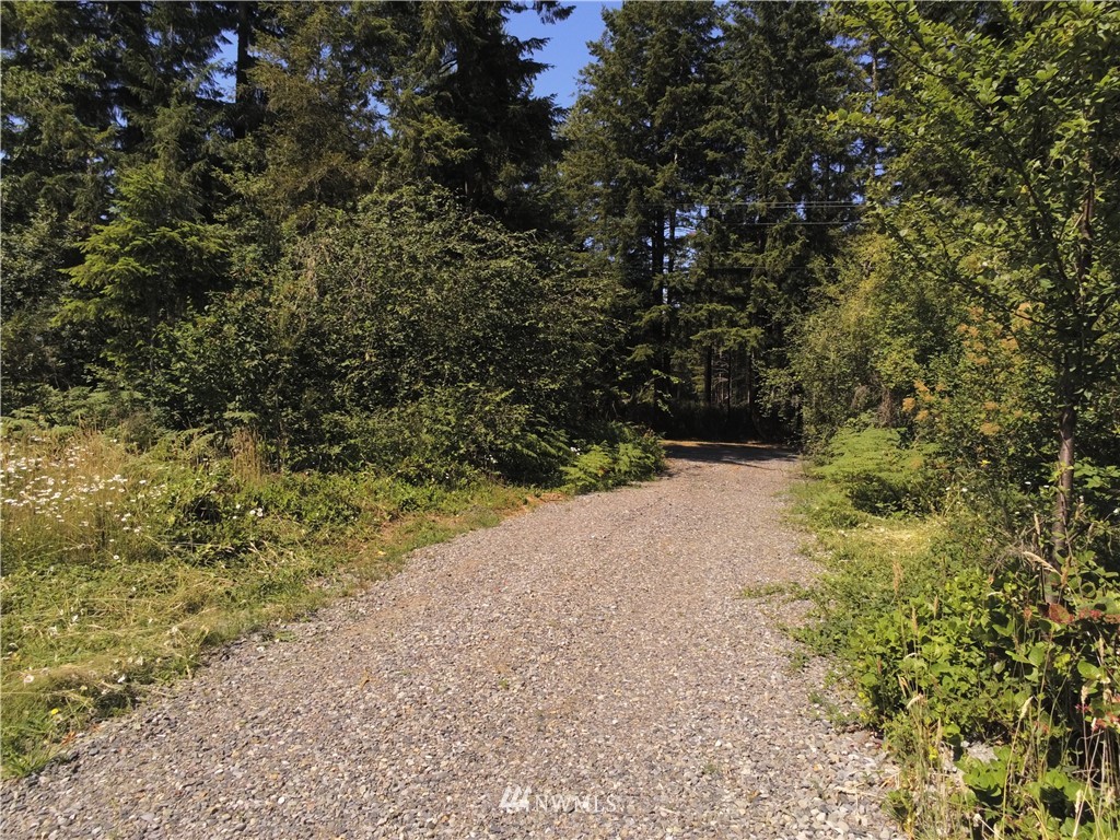 768 Logan Hill Road Chehalis, WA 98532 - Photo 22 of 35 a view of a plants with trees in the background