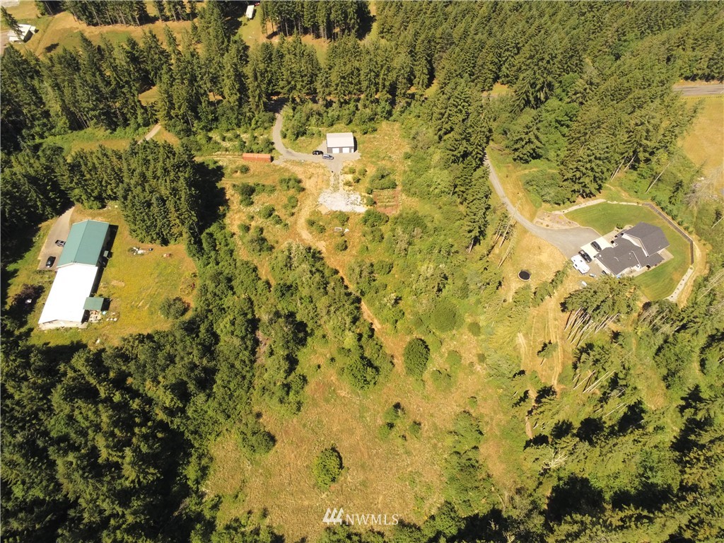 768 Logan Hill Road Chehalis, WA 98532 - Photo 24 of 35 a view of a yard