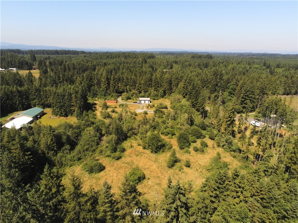 768 Logan Hill Road Chehalis, WA 98532 - Photo 25 of 35 a view of a city with lush green forest