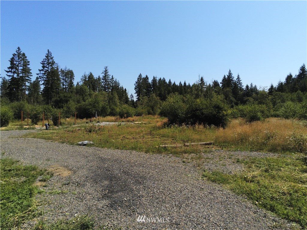 768 Logan Hill Road Chehalis, WA 98532 - Photo 28 of 35 a view of a lake view with a large trees