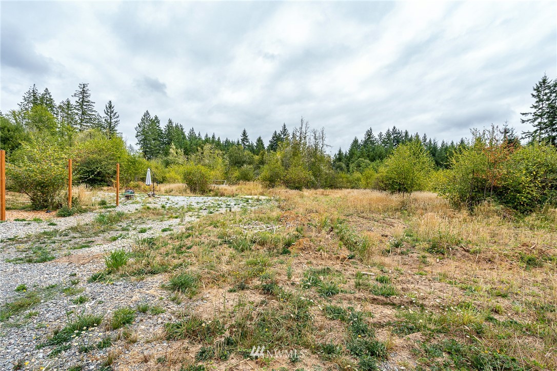 768 Logan Hill Road Chehalis, WA 98532 - Photo 30 of 35 a view of mountain view with trees
