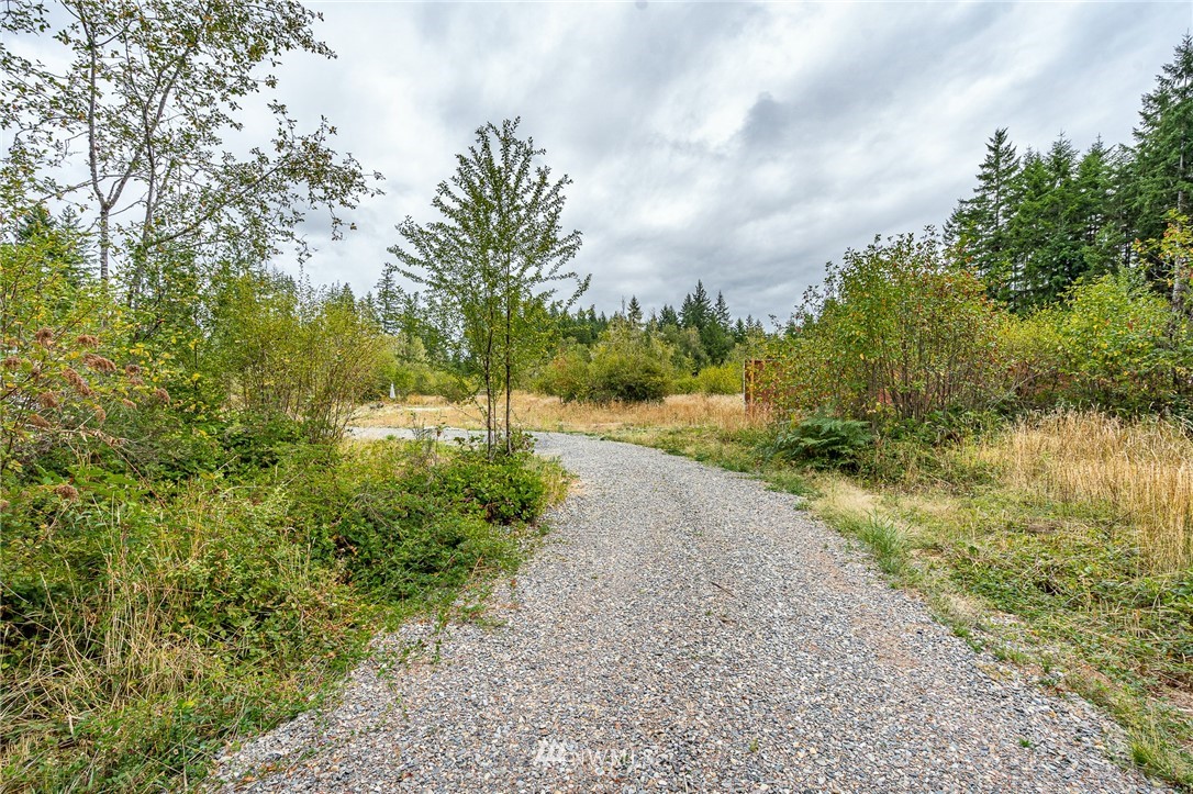 768 Logan Hill Road Chehalis, WA 98532 - Photo 31 of 35 a view of a pathway both side of green field with tree in the background