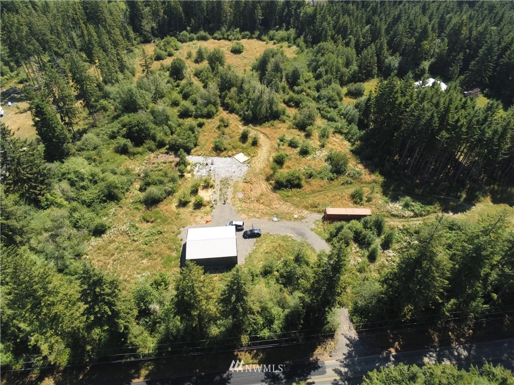 768 Logan Hill Road Chehalis, WA 98532 - Photo 5 of 35 a view of a house with a yard and large trees