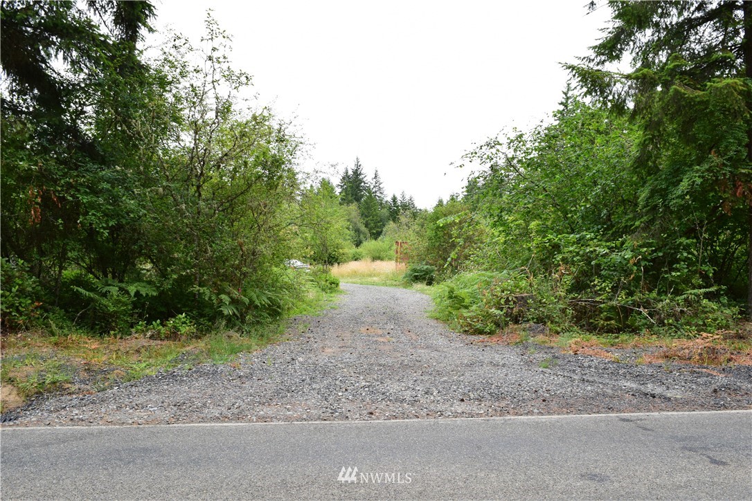 768 Logan Hill Road Chehalis, WA 98532 - Photo 6 of 35 a view of a yard with plants and trees beside of it