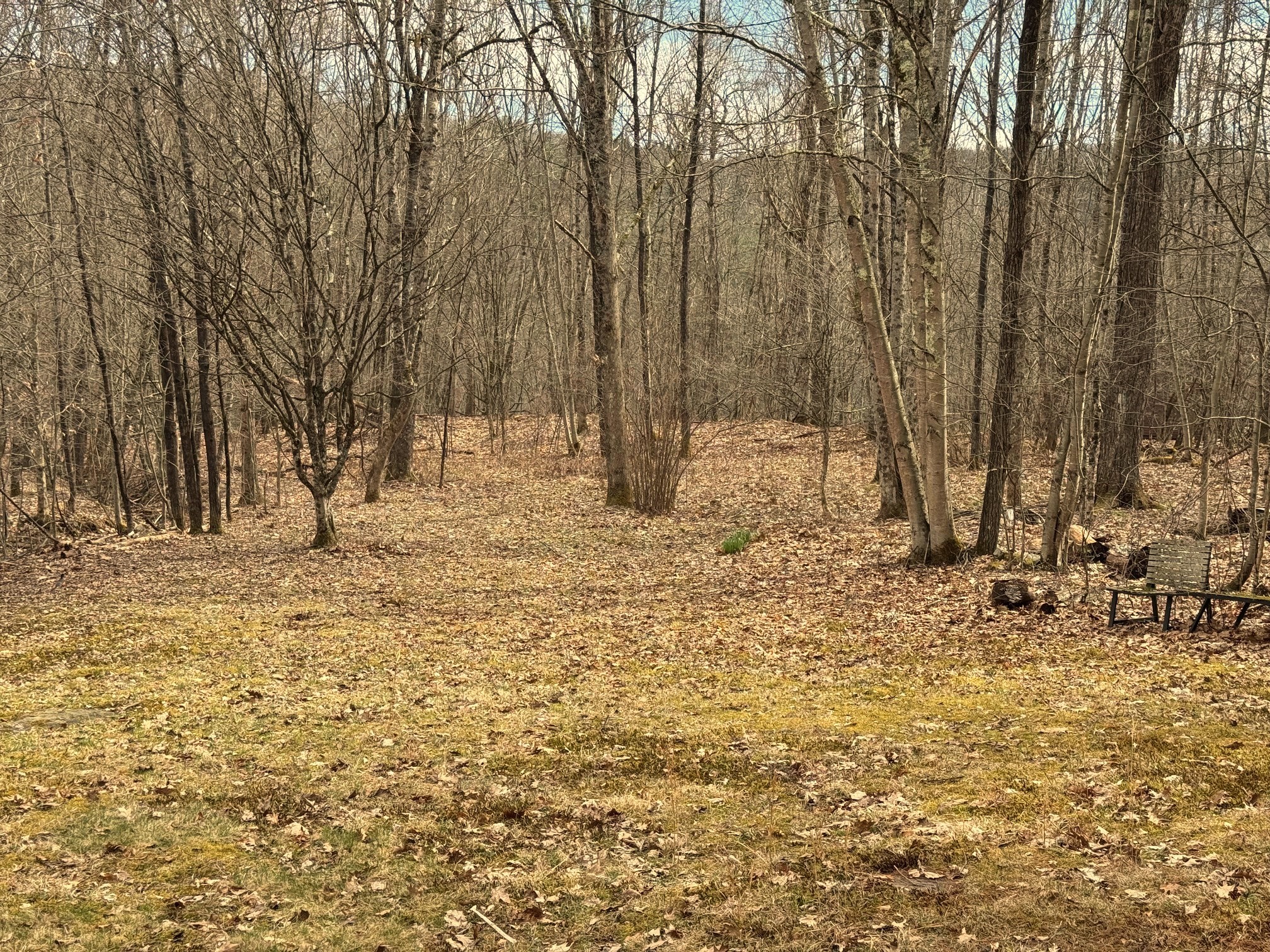 2522 Bouchouxville Road Hancock, NY 13783 - Photo 37 of 50