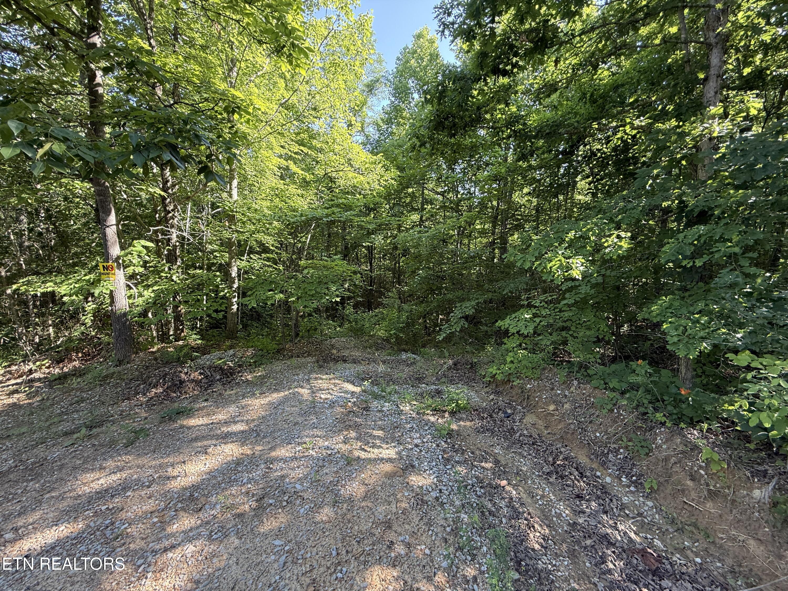 969 Lewallen Road Sunbright, TN 37872 - Photo 21 of 21 IMG_4316