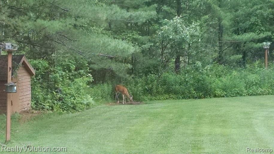 2488 Brown Road Millington, MI 48746 - Photo 14 of 46
