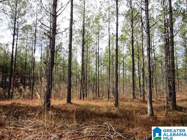 Mckay Road, Unit 10 Lineville, AL 36266 - Photo 1 of 5