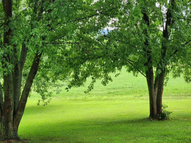 $424,900 | N283 Co Ow, Mondovi, WI 54755