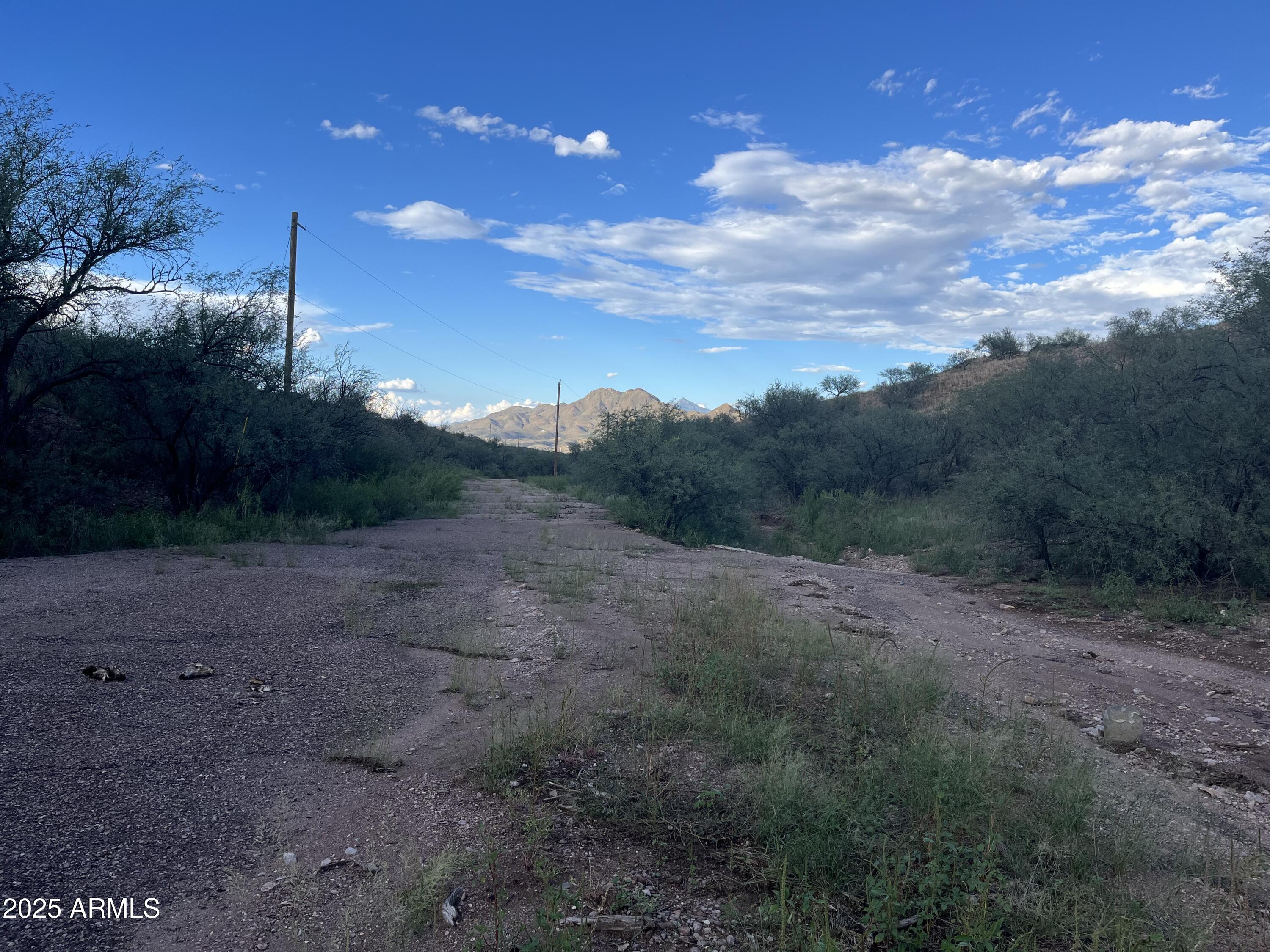 935 Avena Court, Unit 52 Rio Rico, AZ 85648 - Photo 5 of 8 a view of a yard with a tree