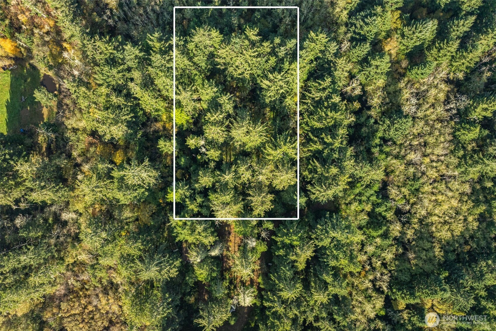 a view of a backyard of the house