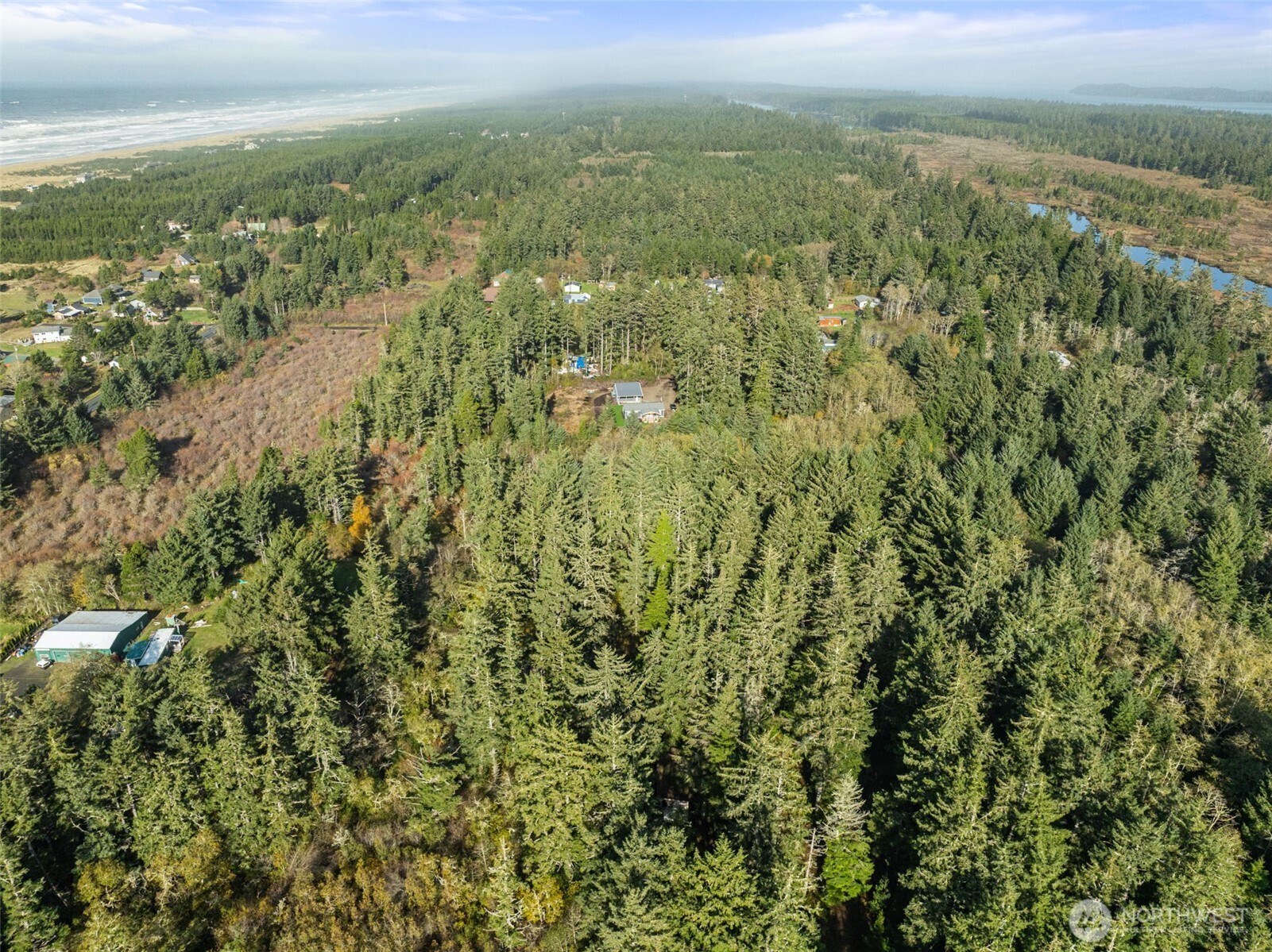 2 147th Place Long Beach, WA 98631 - Photo 5 of 9 a view of a city with lush green forest
